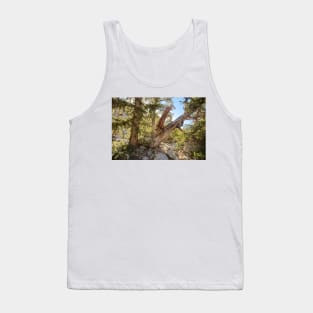 850_6887 Tank Top